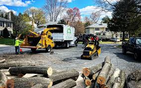 Best Storm Damage Tree Cleanup  in Livingston, AL